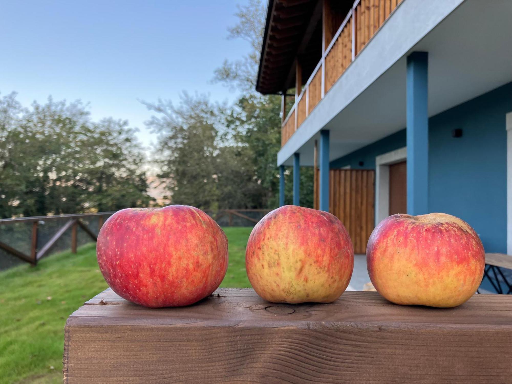 Apartamentos Montes Vindios Onís Εξωτερικό φωτογραφία